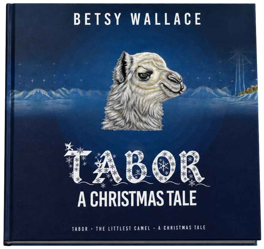 Tabor book cover